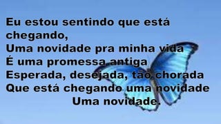 Novidade