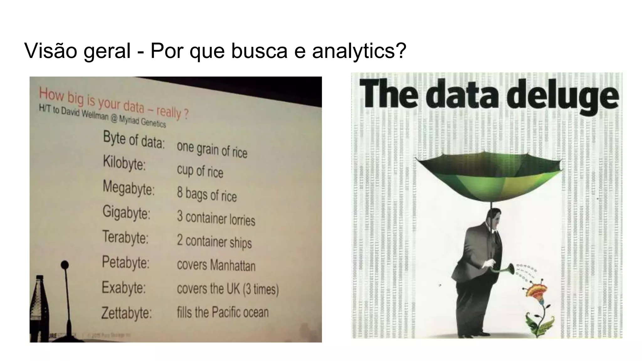 Visão geral - Por que busca e analytics?
 