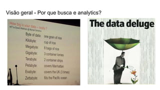 Visão geral - Por que busca e analytics?
 
