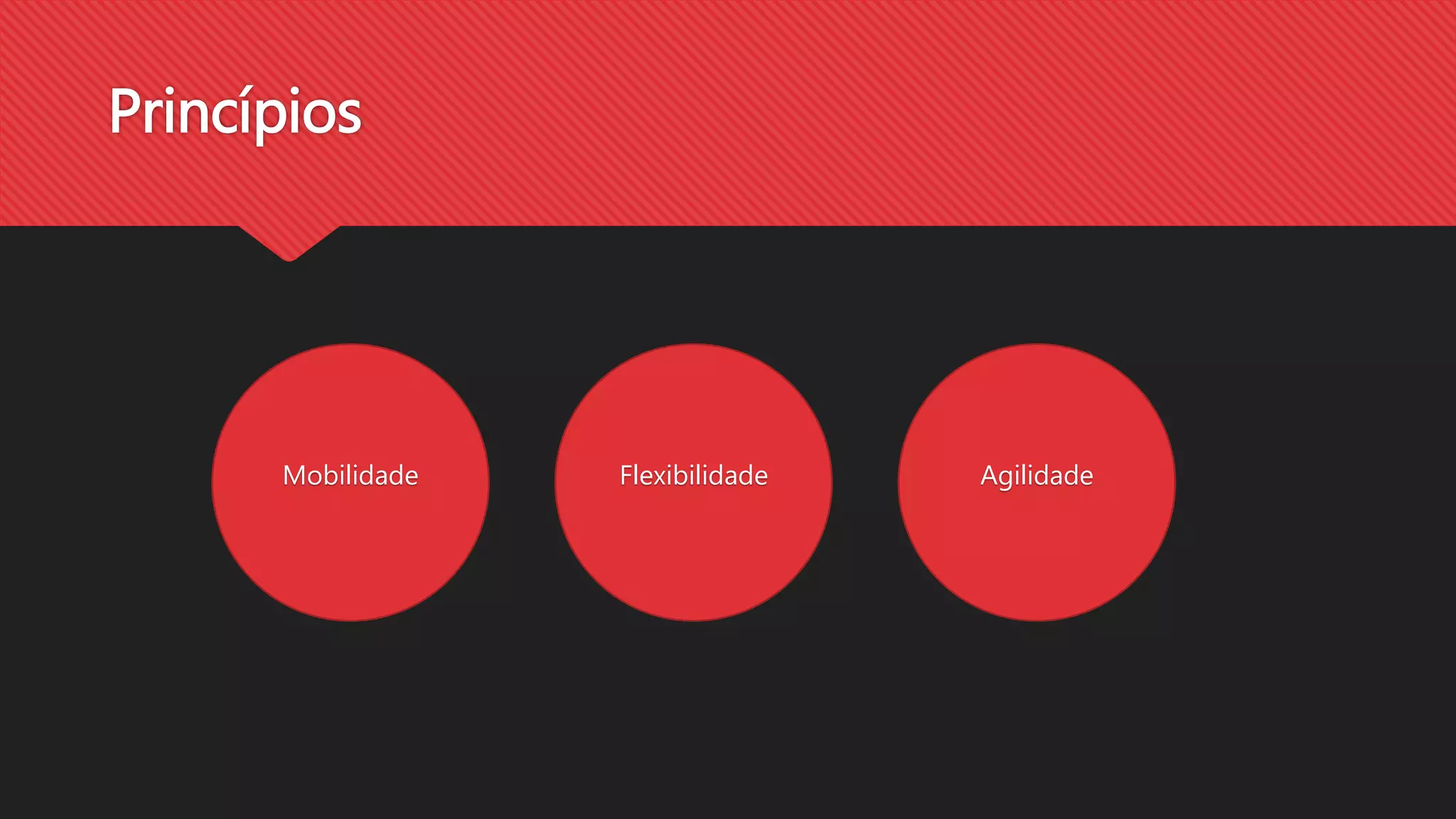 Princípios
Mobilidade Flexibilidade Agilidade