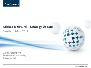 Adabas & Natural – Strategy Update
Brasilia, 11-Dec-2012




Guido Falkenberg
SVP Product Marketing
Software AG
 