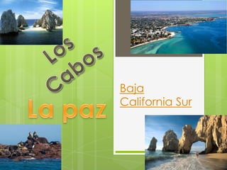 Baja
California Sur
 