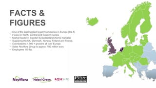 FACTS &
FIGURES
• One of the leading plant export companies in Europe (top 5)
• Focus on North, Central and Eastern Europe
• Market leader in Sweden & Switzerland (home markets)
• Supplying the UK, Denmark, Norway, Finland and France.
• Connected to 1.000 + growers all over Europe
• Sales Noviflora Group is approx. 100 million euro
• Employees 110 fte
 