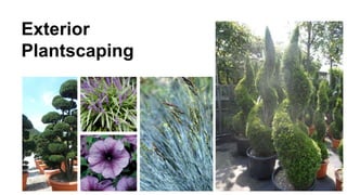 Exterior
Plantscaping
Magazine
pagina
 