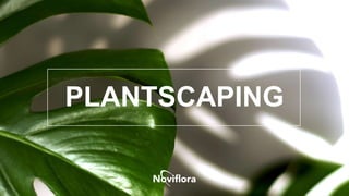 PLANTSCAPING
 
