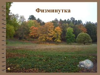 Физминутка
 