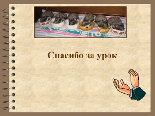 Спасибо за урок
 