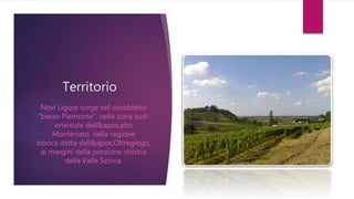 Territorio
Novi Ligure sorge nel cosiddetto
"basso Piemonte", nella zona sud-
orientale dell'alto
Monferrato, nella regione
storica detta dell'Oltregiogo,
ai margini della porzione sinistra
della Valle Scrivia.
 