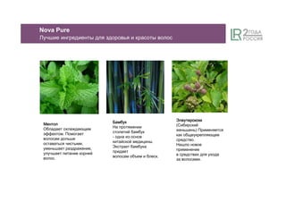 Nova Pure
Лучшие ингредиенты для здоровья и красоты волос
БамбукБамбукБамбукБамбук
На протяжении
столетий бамбук
- одна из основ
китайской медицины.
Экстракт бамбука
придает
волосам объем и блеск.
ЭлеутерококкЭлеутерококкЭлеутерококкЭлеутерококк
(Сибирский
женьшень) Применяется
как общеукрепляющее
средство.
Нашло новое
применение
в средствах для ухода
за волосами.
МентолМентолМентолМентол
Обладает охлаждающим
эффектом. Помогает
волосам дольше
оставаться чистыми,
уменьшает раздражение,
улучшает питание корней
волос.
 