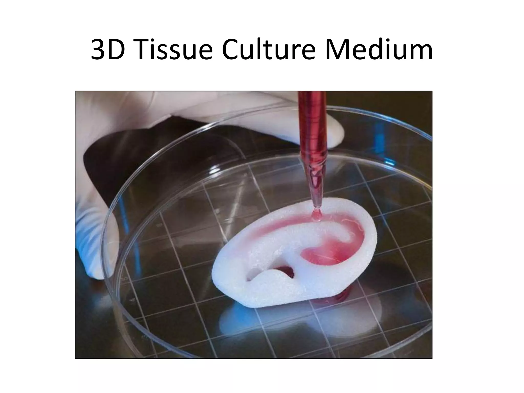 3D Tissue Culture Medium
 