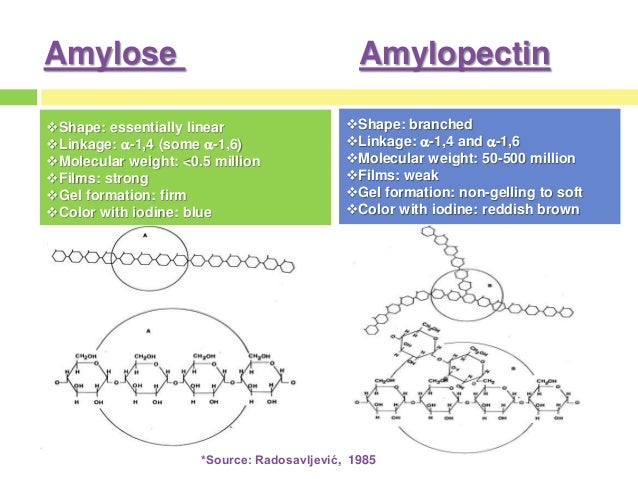 High Amylose Starch Foods High Amylose Starch Foods