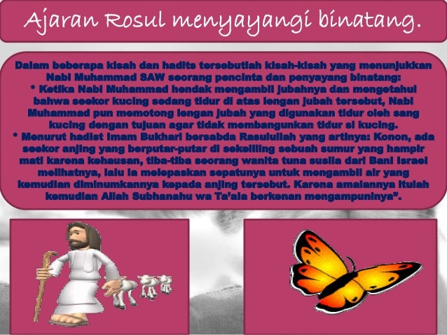 Hadits Tentang Menyayangi Binatang Kucing Sumber Ilmu