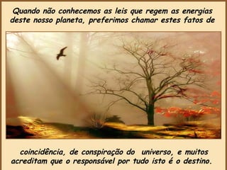 coincidência, de conspiração do  universo, e muitos acreditam que o responsável por tudo isto é o destino.   Quando não conhecemos as leis que regem as energias  deste nosso planeta, preferimos chamar estes fatos de  