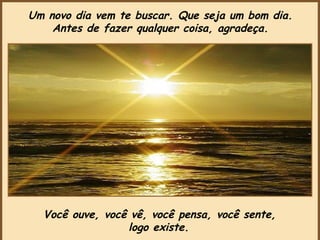 Você ouve, você vê, você pensa, você sente,  logo existe.   Um novo dia vem te buscar. Que seja um bom dia. Antes de fazer qualquer coisa, agradeça.  