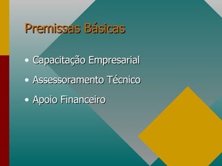 Capacitação Empresarial Assessoramento Técnico Apoio Financeiro Premissas Básicas 