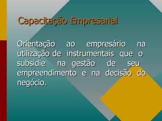 Capacitação Empresarial Orientação ao empresário na utilização de  instrumentais  que  o  subsidie  na gestão  de  seu  empreendimento e na decisão do negócio. 