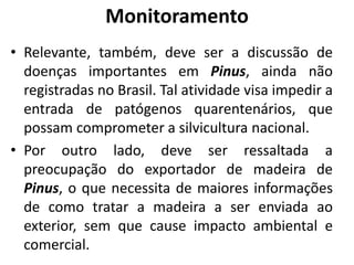 Monitoramento
• Relevante, também, deve ser a discussão de
doenças importantes em Pinus, ainda não
registradas no Brasil. Tal atividade visa impedir a
entrada de patógenos quarentenários, que
possam comprometer a silvicultura nacional.
• Por outro lado, deve ser ressaltada a
preocupação do exportador de madeira de
Pinus, o que necessita de maiores informações
de como tratar a madeira a ser enviada ao
exterior, sem que cause impacto ambiental e
comercial.
 