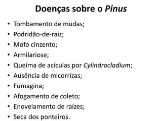 Doenças sobre o Pinus
• Tombamento de mudas;
• Podridão-de-raiz;
• Mofo cinzento;
• Armilariose;
• Queima de acículas por Cylindrocladium;
• Ausência de micorrizas;
• Fumagina;
• Afogamento de coleto;
• Enovelamento de raízes;
• Seca dos ponteiros.
 