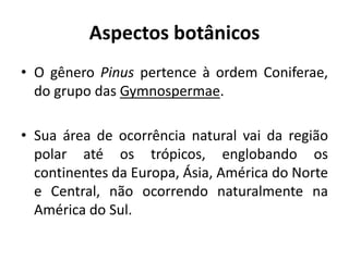 Aspectos botânicos
• O gênero Pinus pertence à ordem Coniferae,
do grupo das Gymnospermae.
• Sua área de ocorrência natural vai da região
polar até os trópicos, englobando os
continentes da Europa, Ásia, América do Norte
e Central, não ocorrendo naturalmente na
América do Sul.
 