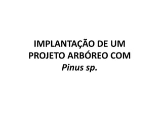 IMPLANTAÇÃO DE UM
PROJETO ARBÓREO COM
Pinus sp.
 