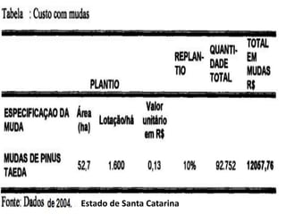 Estado de Santa Catarina
 