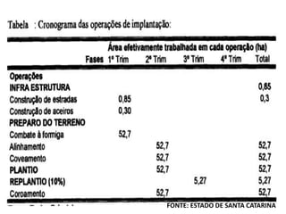FONTE: ESTADO DE SANTA CATARINA
 