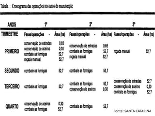 Fonte: SANTA CATARINA
 