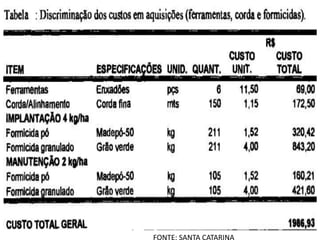 FONTE: SANTA CATARINA
 