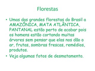 FlorestasUmas das grandes florestas do Brasil a AMAZÔNICA, MATA ATLÂNTICA, PANTANAL estão perto de acabar pois os homens estão cortando muitas árvores sem pensar que elas nos dão o ar, frutas, sombras frescas, remédios, produtos.Veja algumas fotos de desmatamento.