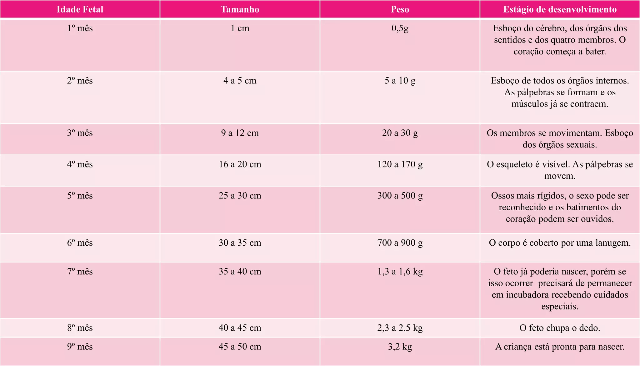 Idade Fetal Tamanho Peso Estágio de desenvolvimento
1º mês 1 cm 0,5g Esboço do cérebro, dos órgãos dos
sentidos e dos quatro membros. O
coração começa a bater.
2º mês 4 a 5 cm 5 a 10 g Esboço de todos os órgãos internos.
As pálpebras se formam e os
músculos já se contraem.
3º mês 9 a 12 cm 20 a 30 g Os membros se movimentam. Esboço
dos órgãos sexuais.
4º mês 16 a 20 cm 120 a 170 g O esqueleto é visível. As pálpebras se
movem.
5º mês 25 a 30 cm 300 a 500 g Ossos mais rígidos, o sexo pode ser
reconhecido e os batimentos do
coração podem ser ouvidos.
6º mês 30 a 35 cm 700 a 900 g O corpo é coberto por uma lanugem.
7º mês 35 a 40 cm 1,3 a 1,6 kg O feto já poderia nascer, porém se
isso ocorrer precisará de permanecer
em incubadora recebendo cuidados
especiais.
8º mês 40 a 45 cm 2,3 a 2,5 kg O feto chupa o dedo.
9º mês 45 a 50 cm 3,2 kg A criança está pronta para nascer.
 