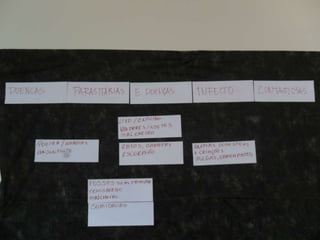 Novo(a) apresentação do microsoft power point