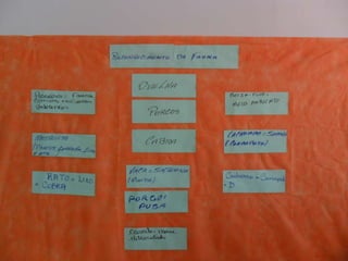 Novo(a) apresentação do microsoft power point