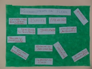 Novo(a) apresentação do microsoft power point