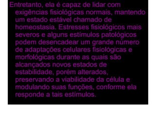 Entretanto, ela é capaz de lidar com
 exigências fisiológicas normais, mantendo
 um estado estável chamado de
 homeostasia. Estresses fisiológicos mais
 severos e alguns estímulos patológicos
 podem desencadear um grande número
 de adaptações celulares fisiológicas e
 morfológicas durante as quais são
 alcançados novos estados de
 estabilidade, porém alterados,
 preservando a viabilidade da célula e
 modulando suas funções, conforme ela
 responde a tais estímulos.
 