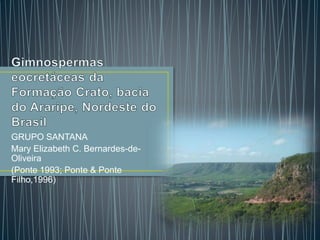 GRUPO SANTANA 
Mary Elizabeth C. Bernardes-de- 
Oliveira 
(Ponte 1993; Ponte & Ponte 
Filho,1996) 
 