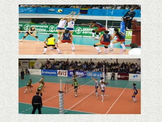 Voleibol