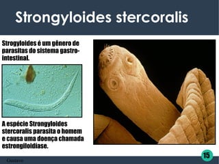 Strongyloides stercoralis
Strogyloides é um gênero de
parasitas do sistema gastro-
intestinal.
A espécie Strongyloides
stercoralis parasita o homem
e causa uma doença chamada
estrongiloidíase.
15
Gustavo
 