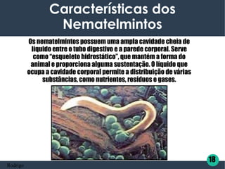Características dos
Nematelmintos
Os nematelmintos possuem uma ampla cavidade cheia de
líquido entre o tubo digestivo e a parede corporal. Serve
como “esqueleto hidrostático”, que mantém a forma do
animal e proporciona alguma sustentação. O líquido que
ocupa a cavidade corporal permite a distribuição de várias
substâncias, como nutrientes, resíduos e gases.
18
Rodrigo
 