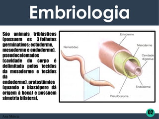 Embriologia
02
São animais triblásticos
(possuem os 3 folhetos
germinativos: ectoderme, 
mesoderme e endoderme),
pseudocelomados
(cavidade do corpo é
delimitada pelos tecidos
da mesoderme e tecidos
da
endoderme), protostômios 
(quando o blastóporo dá
origem à boca) e possuem
simetria bilateral.
Ana Márcia
 