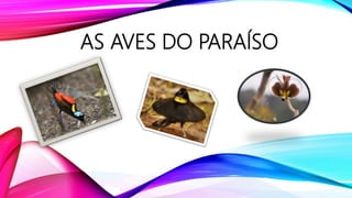AS AVES DO PARAÍSO
 