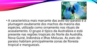 • A característica mais marcante das aves-do-paraíso é a
plumagem exuberante dos machos da maioria das
espécies, utilizada como ornamento nos rituais de
acasalamento. O grupo é típico da Australásia e está
presente nas regiões tropicais do Norte da Austrália,
Nova Guiné, Indonésia e Ilhas Molucas. As aves-do-
paraíso habitam principalmente zonas de floresta
tropical e manguezais.
 