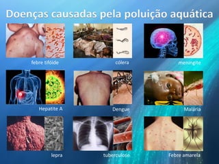 Doenças causadas pela poluição aquática
febre tifóide cólera meningite
Hepatite A Dengue Malária
lepra tuberculose Febre amarela
 