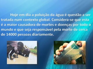 Hoje em dia a poluição da água é questão a ser
tratada num contexto global. Considera-se que esta
é a maior causadora de mortes e doenças por todo o
mundo e que seja responsável pela morte de cerca
de 14000 pessoas diariamente.
 