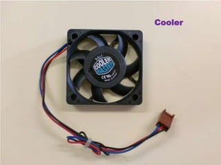 Cooler
 