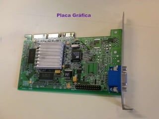 Placa Gráfica
 