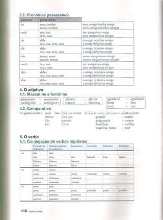 Novo avenida brasil 1