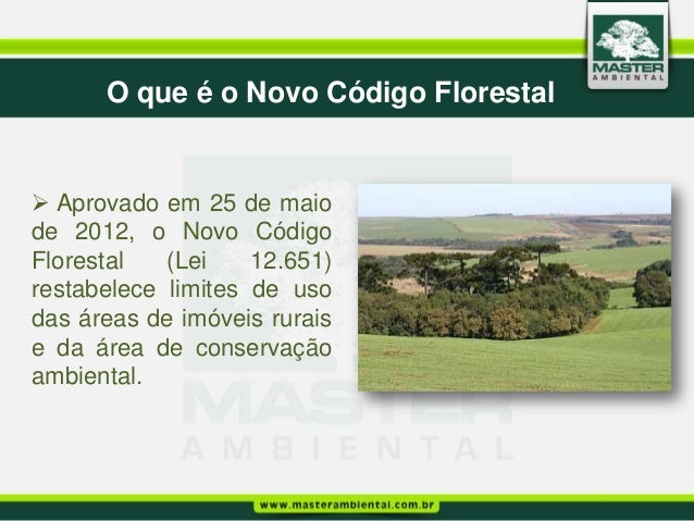 Novo C digo Florestal Cinco anos depois - Jornal O Globo