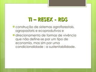 TI – RESEX - RDS construção de sistemas agroflorestais, agropastoris e ecoprodutivos e  direcionamento de formas de vivência que não define-se por um tipo de economia, mas sim por uma condicionalidade : a sustentabilidade. 