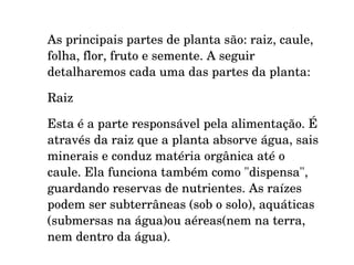 As principais partes de planta são: raiz, caule, 
folha, flor, fruto e semente. A seguir 
detalharemos cada uma das partes da planta:

Raiz 

Esta é a parte responsável pela alimentação. É 
através da raiz que a planta absorve água, sais 
minerais e conduz matéria orgânica até o 
caule. Ela funciona também como "dispensa", 
guardando reservas de nutrientes. As raízes 
podem ser subterrâneas (sob o solo), aquáticas 
(submersas na água)ou aéreas(nem na terra, 
nem dentro da água). 
 