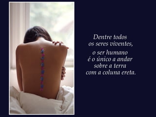 Dentre todos
 os seres viventes,
   o ser humano
 é o único a andar
    sobre a terra
com a coluna ereta.
 